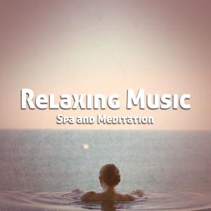 The Sleep Specialist的专辑Relaxing Music for Spa and Meditation