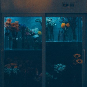 收听공원的썸머歌词歌曲