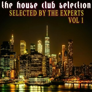 Listen to I'm a Loosing (Frank Wasser Mix) song with lyrics from Antoine Seranuit