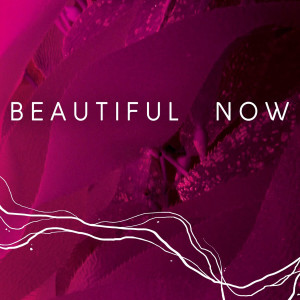 The Hits的專輯Beautiful Now (Originally Performed by Zedd feat. Jon Bellion)
