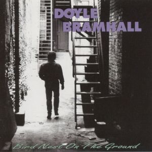 Doyle Bramhall II & Smokestack的專輯Bird Nest on the Ground