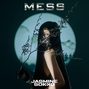 收聽楚晴Jasmine Sokko的MESS歌詞歌曲