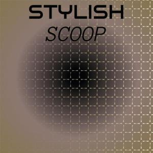 Listen to Stylish Scoop song with lyrics from Rara Blin