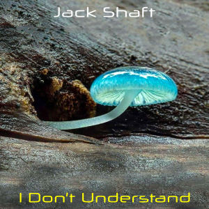 ดาวน์โหลดและฟังเพลง I Don't Understand พร้อมเนื้อเพลงจาก Jack Shaft