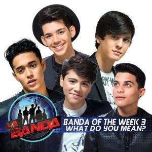 Erick Brian Colón的專輯What Do You Mean? (La Banda Performance)