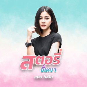 Listen to สตอรี่ขี้เหงา song with lyrics from แบม ไพลิน
