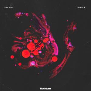 ดาวน์โหลดและฟังเพลง Go Back พร้อมเนื้อเพลงจาก Vini Sist