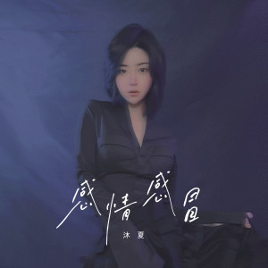Album 感情感冒 from 沐夏