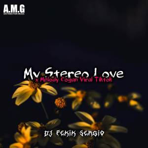 DJ Pekik Sergio的專輯Dj stereo hearts x melody cogan tiktok