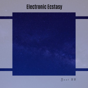 Album Electronic Ecstasy Best 22 from Various