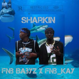 收聽Fnb BabyZ的Sharkin (Explicit)歌詞歌曲