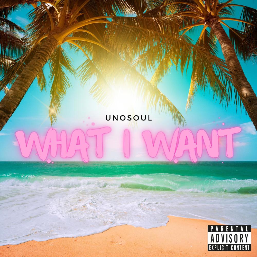 WHAT I WANT (Explicit)