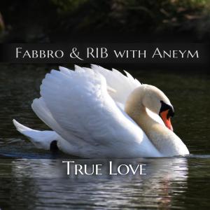 True Love dari Aneym