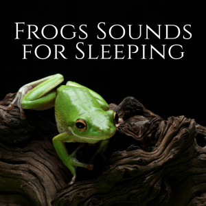 Album Frogs Sounds for Sleeping from 