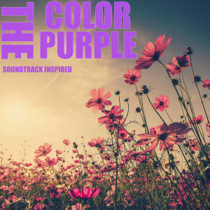 Various Artists的专辑Color Purple Soundtrack (Inspired)