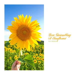 Album Love Resembling A Sunflower oleh Yu Jiseon