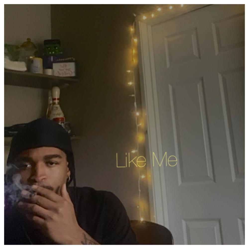 Like Me (Explicit)