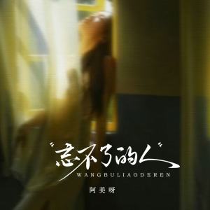 Listen to 忘不了的人 (伴奏) song with lyrics from 阿美呀