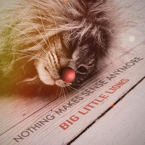 Big Little Lions的專輯Nothing Makes Sense Anymore