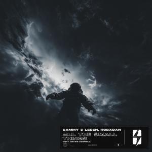 Album All the Small Things (feat. Shawn O'Donnell) from Sammy & Lesen