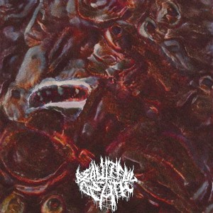 收听beautifuldeath的муэдзин歌词歌曲