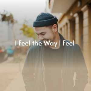 Listen to I Feel the Way I Feel song with lyrics from Big Mama Thornton with the Muddy Waters Blues Band
