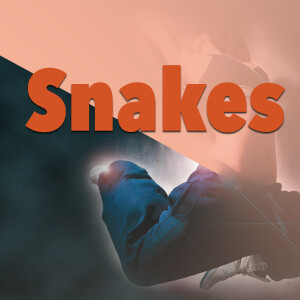 收聽Lil' Kim的We All About (Explicit)歌詞歌曲