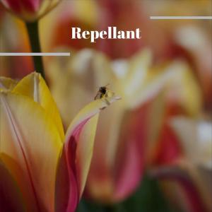 Dengarkan lagu Repellant nyanyian Diler Manal dengan lirik