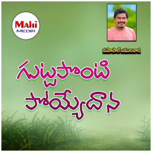 Mahipal Amulawada的专辑Guttaponti Poyyedana