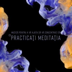 Listen to Loc de Meditație Perfect song with lyrics from Deep Buddhist Meditation Music Set