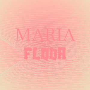 Various Artists的專輯Maria Floor