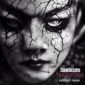 ดาวน์โหลดและฟังเพลง Transform (m00seT Remix) พร้อมเนื้อเพลงจาก Sindicate