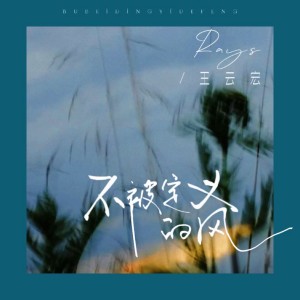 Listen to 不被定义的风 (完整版) song with lyrics from Rays陈袁