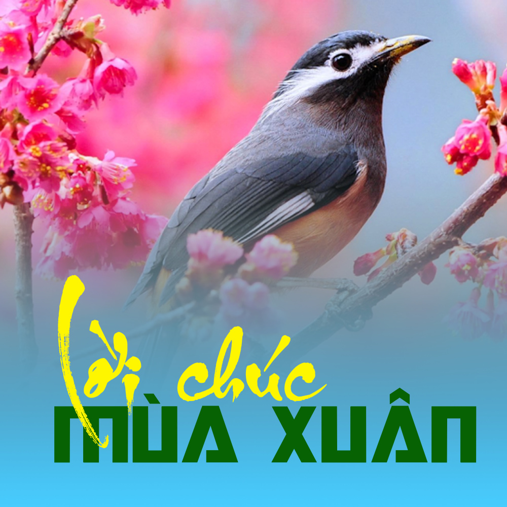 Mùa xuân của em