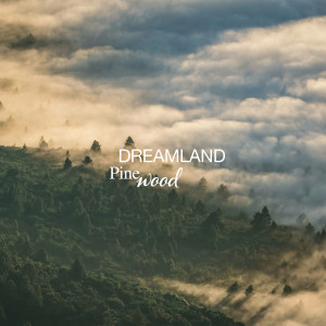 Album Pinewood oleh Dreamland