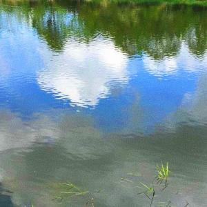 收聽randombrownkid.的hunchback! (Explicit)歌詞歌曲