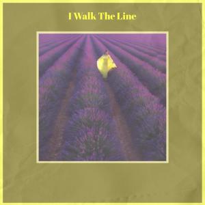 Album I Walk The Line from Silvia Natiello-Spiller