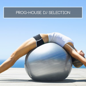 Album Prog-House DJ Selection oleh Various Artists