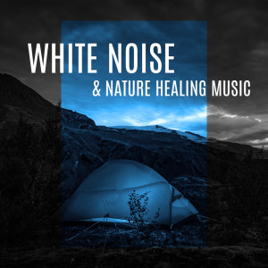 Night White Noise Universe的專輯White Noise & Nature Healing Music - Meditation, Peace, Water Sounds, Mind Relaxation