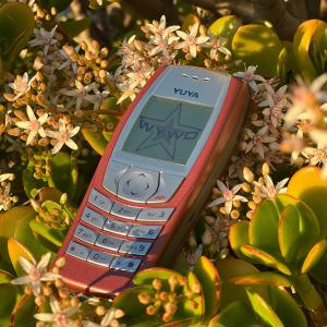 收聽YUYA的wywd歌詞歌曲