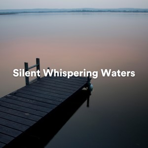 Album Silent Whispering Waters oleh Positive Affirmations Music Zone