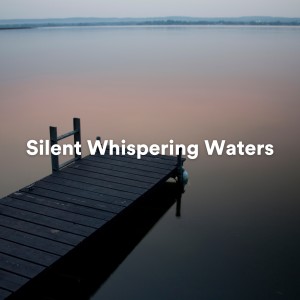 Album Silent Whispering Waters from Ambient Relaxation