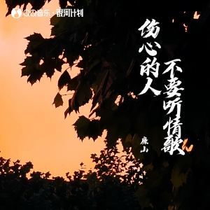 Listen to 伤心的人不要听情歌 song with lyrics from 廉山