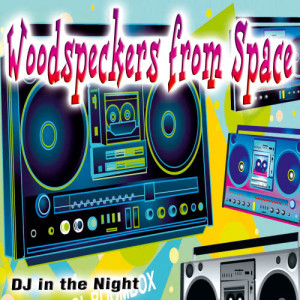 DJ In the Night的專輯Woodpeckers from Space - Single