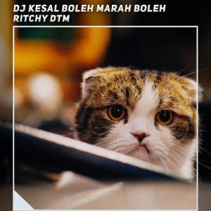 Album Dj Kesal Boleh Marah Boleh from Ritchy DTM