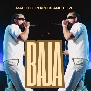 收聽maceo el perro blanco live的baja (Live)歌詞歌曲