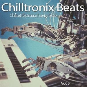 Various的专辑Chilltronix Beats, Vol. 5