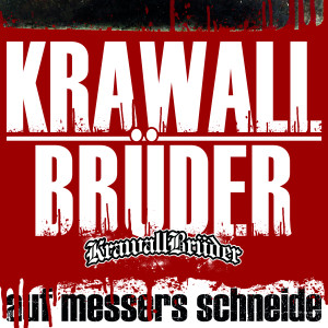 ดาวน์โหลดและฟังเพลง Freunde für's Leben (Explicit) พร้อมเนื้อเพลงจาก Krawallbrüder