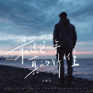 Listen to 最近这几年真的好难 song with lyrics from 无脚鸟