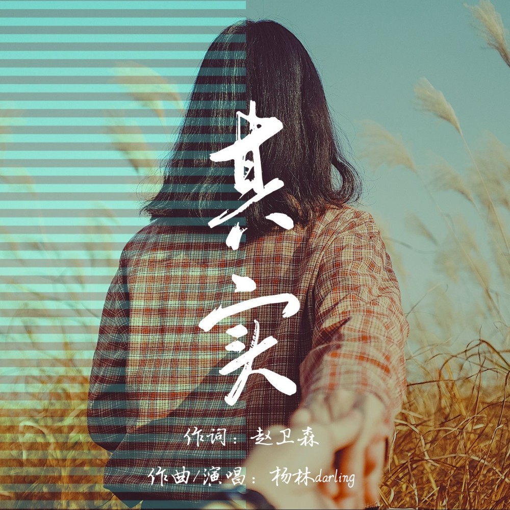 其实 (完整版)